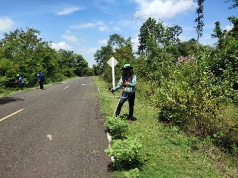 ตัดแต่งกิ่งไม้ข้างทาง