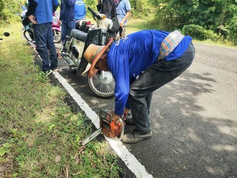 ตัดแต่งกิ่งไม้ข้างทาง