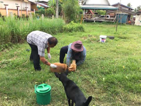 ฉีดวัคซีนควบคุมโรคพิษสุนัขบ้า