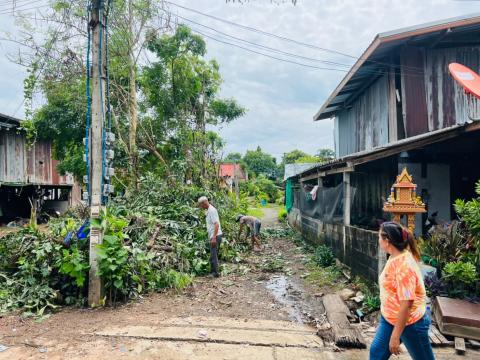 ตัดแต่งกิ่งไม้ ต้นไม้ พาดทับสายไฟ บ้านเรือนประชาชน