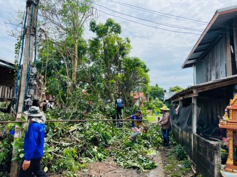 ตัดแต่งกิ่งไม้ ต้นไม้ พาดทับสายไฟ บ้านเรือนประชาชน