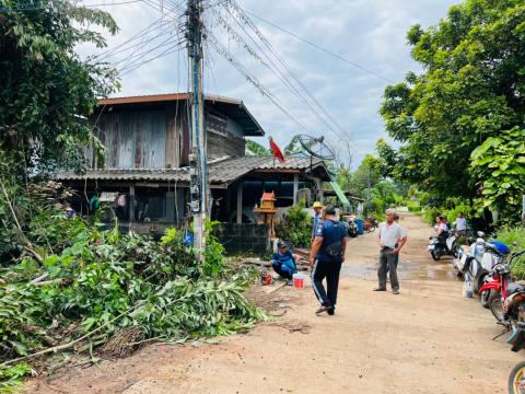 ตัดแต่งกิ่งไม้ ต้นไม้ พาดทับสายไฟ บ้านเรือนประชาชน