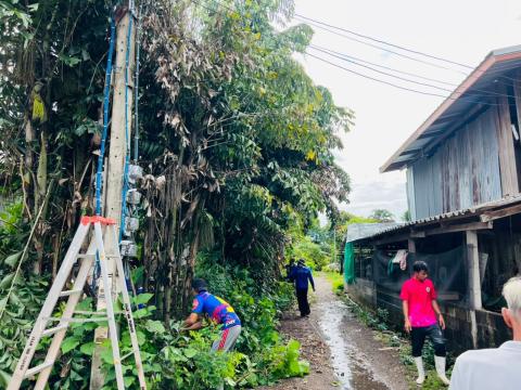 ตัดแต่งกิ่งไม้ ต้นไม้ พาดทับสายไฟ บ้านเรือนประชาชน