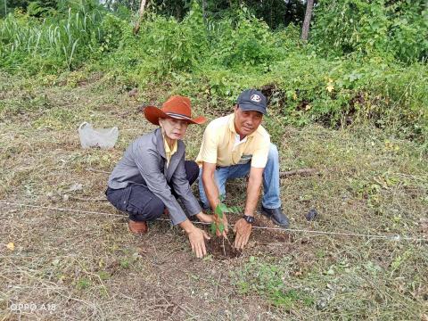 โครงการปลูกป่าเฉลิมพระเกียรติ