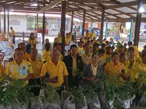 โครงการปลูกป่าเฉลิมพระเกียรติ