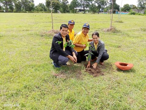 โครงการปลูกป่าเฉลิมพระเกียรติ