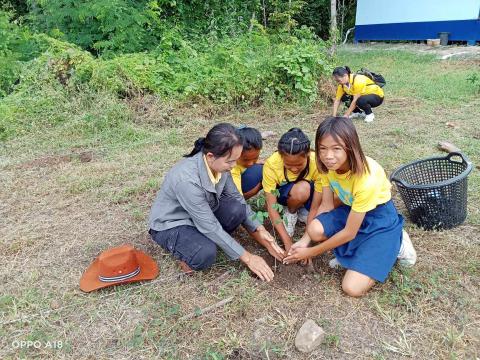 โครงการปลูกป่าเฉลิมพระเกียรติ