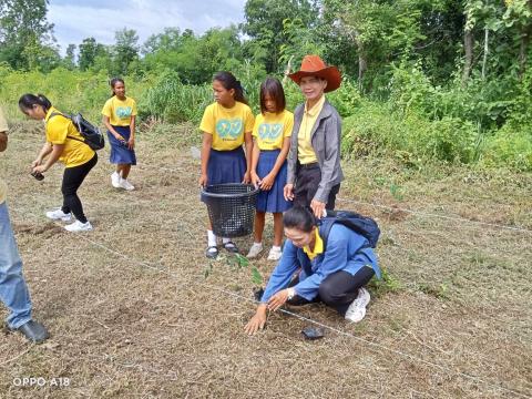 โครงการปลูกป่าเฉลิมพระเกียรติ