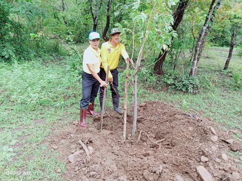 กิจกรรมปลูกต้นสุพรรณิการ์(ต้นฝ้ายคำ)