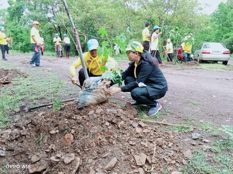 กิจกรรมปลูกต้นสุพรรณิการ์(ต้นฝ้ายคำ)