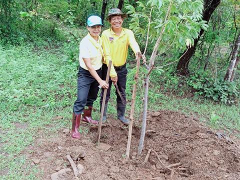 กิจกรรมปลูกต้นสุพรรณิการ์(ต้นฝ้ายคำ)