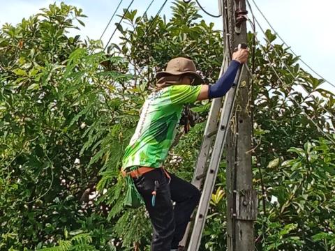 ลงพื้นที่รับเรื่องร้องทุกข์ในการตัดต้นไม้ติดกับเสาไฟฟ้า