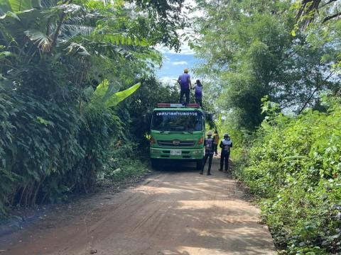 ออกพื้นที่ตัดแต่งกิ่งไม้ พื้นที่หมู่ที่ 4