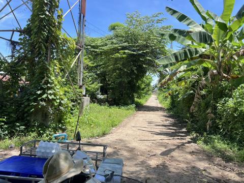 ออกพื้นที่ตัดแต่งกิ่งไม้ พื้นที่หมู่ที่ 4