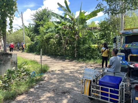 ออกพื้นที่ตัดแต่งกิ่งไม้ พื้นที่หมู่ที่ 4