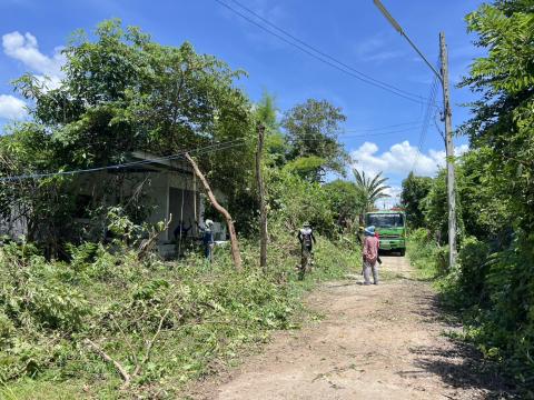 ออกพื้นที่ตัดแต่งกิ่งไม้ พื้นที่หมู่ที่ 4