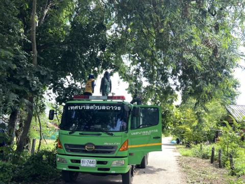 ออกพื้นที่ตัดแต่งกิ่งไม้ พื้นที่หมู่ที่ 4