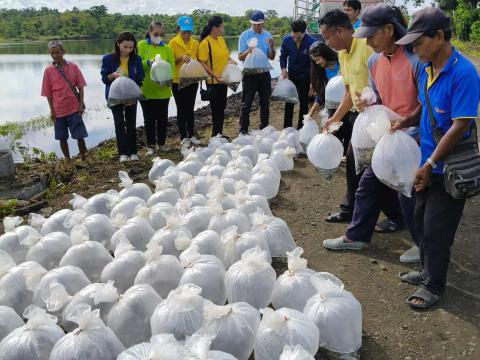โครงการปล่อยสัตว์น้ำ