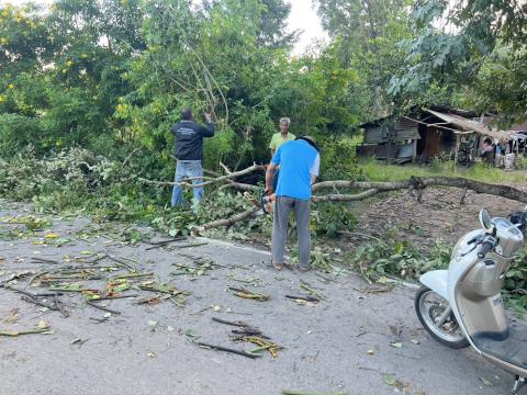 ตัดต้นไม้ล้มกีดขวางการจราจร