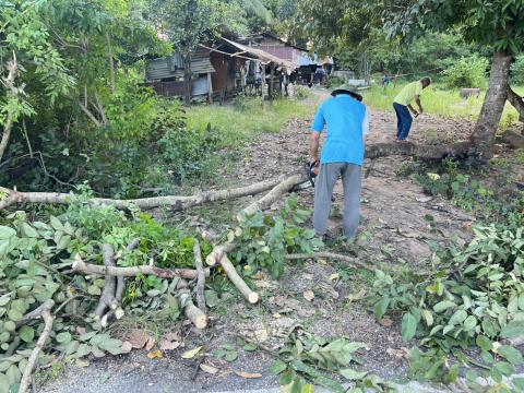 ตัดต้นไม้ล้มกีดขวางการจราจร