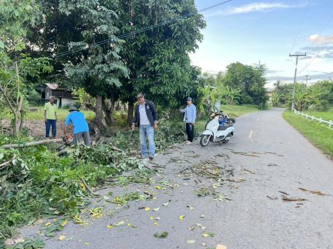 ตัดต้นไม้ล้มกีดขวางการจราจร