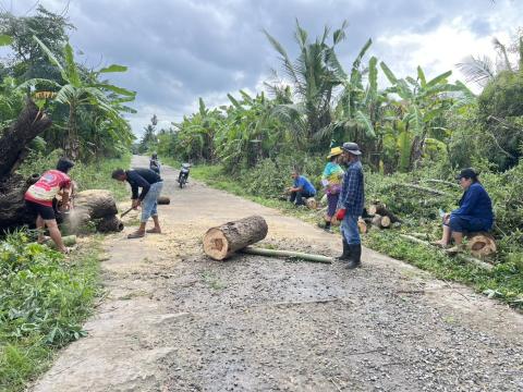 ตัดต้นไม้ล้มทับกีดขวางทางจราจร