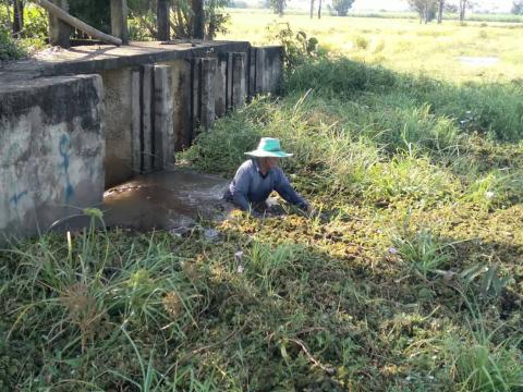 แก้ปัญหาวัชพืชที่ปิดกั้นประตูระบายคลองอีแซวสระขาม