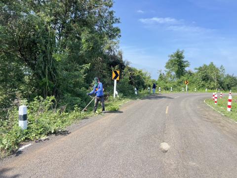ตัดแต่งต้นไม้ริมถนน เพื่อปรับทัศนวิสัยในการขับขี่