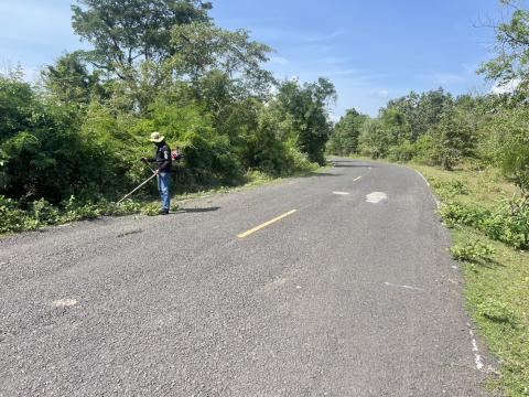 ตัดแต่งต้นไม้ริมถนน เพื่อปรับทัศนวิสัยในการขับขี่