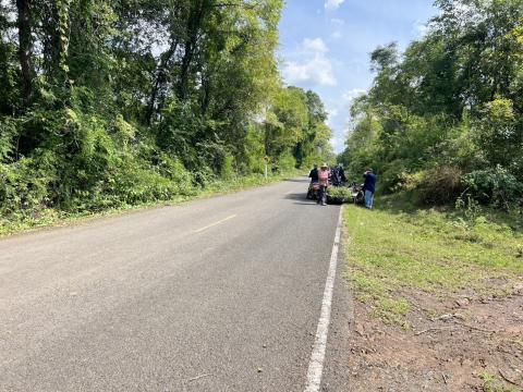 ตัดแต่งต้นไม้ริมถนน เพื่อปรับทัศนวิสัยในการขับขี่