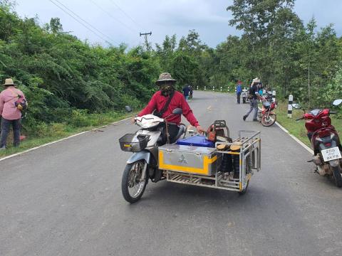ตัดแต่งต้นไม้ริมถนน เพื่อปรับทัศนวิสัยในการขับขี่