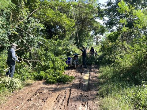 ดำเนินการตัดแต่งต้นไม้ริมถนนคลองโป่ง