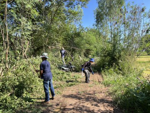 ดำเนินการตัดแต่งต้นไม้ริมถนนคลองโป่ง