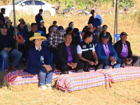 โครงการไถกลบตอซังข้าว