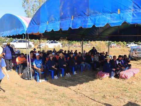 โครงการไถกลบตอซังข้าว