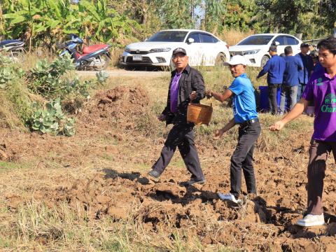 โครงการไถกลบตอซังข้าว