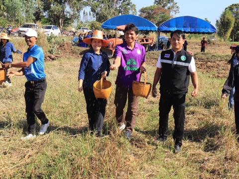 โครงการไถกลบตอซังข้าว
