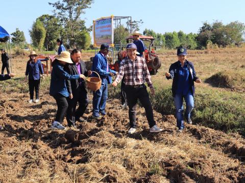 โครงการไถกลบตอซังข้าว
