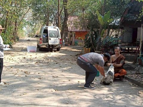 ฉีดดวัคซีนป้องกันโรคพิษสุนัขบ้า สุนัขและแมว ปี 2569