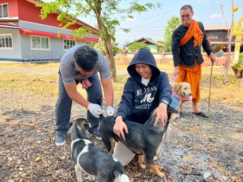 ฉีดดวัคซีนป้องกันโรคพิษสุนัขบ้า สุนัขและแมว ปี 2569