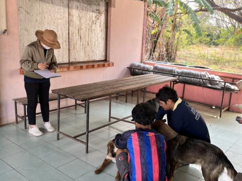 ฉีดดวัคซีนป้องกันโรคพิษสุนัขบ้า สุนัขและแมว ปี 2569