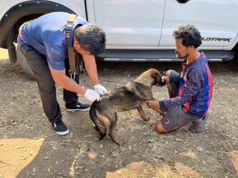 ฉีดดวัคซีนป้องกันโรคพิษสุนัขบ้า สุนัขและแมว ปี 2569