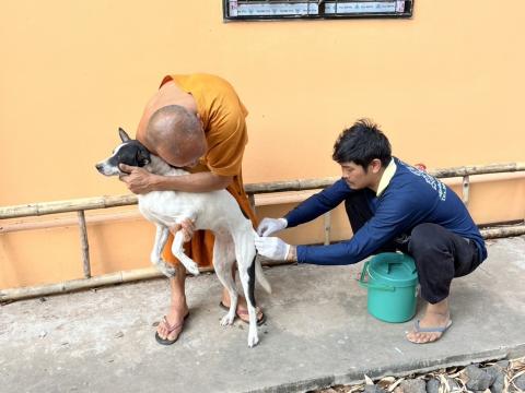 ฉีดดวัคซีนป้องกันโรคพิษสุนัขบ้า สุนัขและแมว ปี 2569