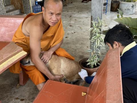 ฉีดดวัคซีนป้องกันโรคพิษสุนัขบ้า สุนัขและแมว ปี 2569