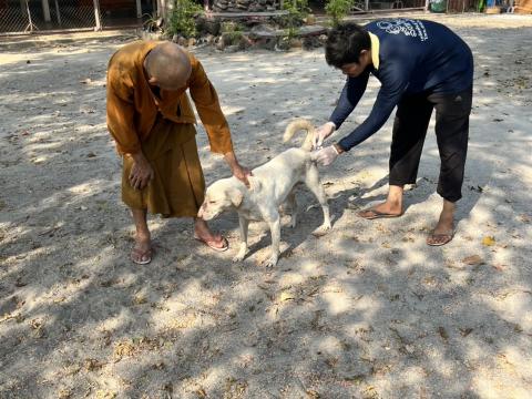 ฉีดดวัคซีนป้องกันโรคพิษสุนัขบ้า สุนัขและแมว ปี 2569