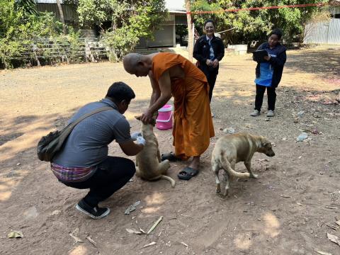 ฉีดดวัคซีนป้องกันโรคพิษสุนัขบ้า สุนัขและแมว ปี 2569