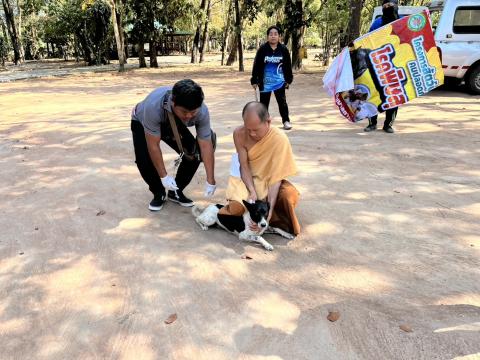 ฉีดดวัคซีนป้องกันโรคพิษสุนัขบ้า สุนัขและแมว ปี 2569