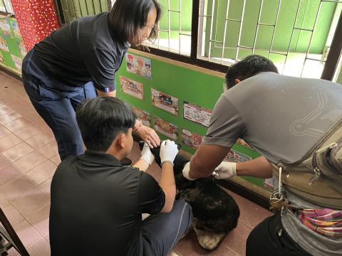 ฉีดดวัคซีนป้องกันโรคพิษสุนัขบ้า สุนัขและแมว ปี 2569