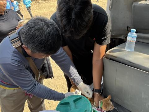 วันที่ 20 กุมภาพันธ์ 2569 เทศบาลตำบลถาวร นำโดยนางพรเพ็ญ ทองดล นายกเทศมนตรีตำบลถาวร มอบหมายให้กองสาธารณสุขฯ ออกดำเนินการฉีดดวัคซีนป้องกันโรคพิษสุนัขบ้า สุนัขและแมว ปี 2569 ในพื้นที่สาธารณะในเขตเทศบาลตำบลถาวร สถานที่สำนักสงฆ์สาละวราราม สำนักสงฆ์บ้านโคก