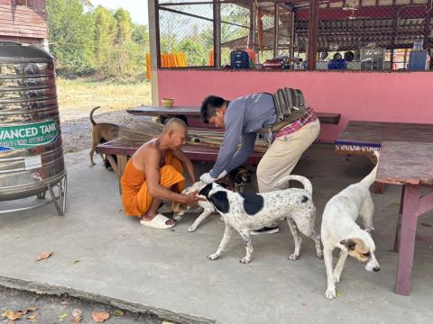 วันที่ 20 กุมภาพันธ์ 2569 เทศบาลตำบลถาวร นำโดยนางพรเพ็ญ ทองดล นายกเทศมนตรีตำบลถาวร มอบหมายให้กองสาธารณสุขฯ ออกดำเนินการฉีดดวัคซีนป้องกันโรคพิษสุนัขบ้า สุนัขและแมว ปี 2569 ในพื้นที่สาธารณะในเขตเทศบาลตำบลถาวร สถานที่สำนักสงฆ์สาละวราราม สำนักสงฆ์บ้านโคก